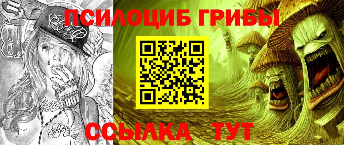 Канаш  Псилоцибиновые грибы MAGIC MUSHROOMS  Вход с VPN 