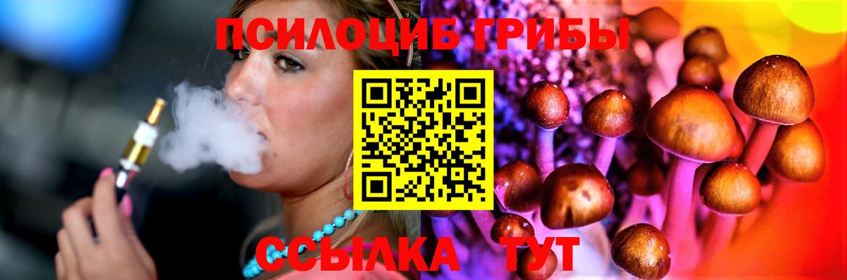 Галлюциногенные грибы Psilocybe Канаш